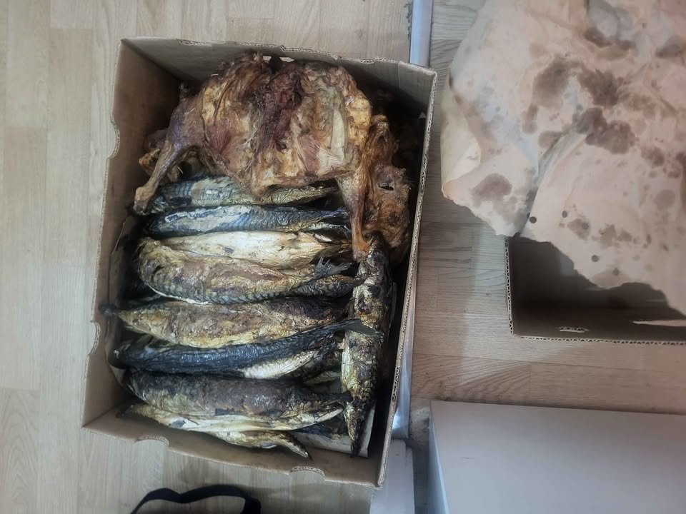 579024967_853898893656564_7103156150034379385_n