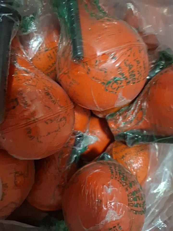 591838282_2443519629376617_9026962803935425205_n