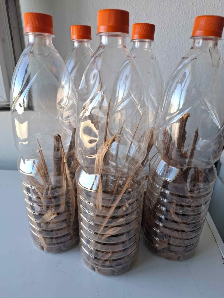 592224709_1508069680478397_365138862768985176_n