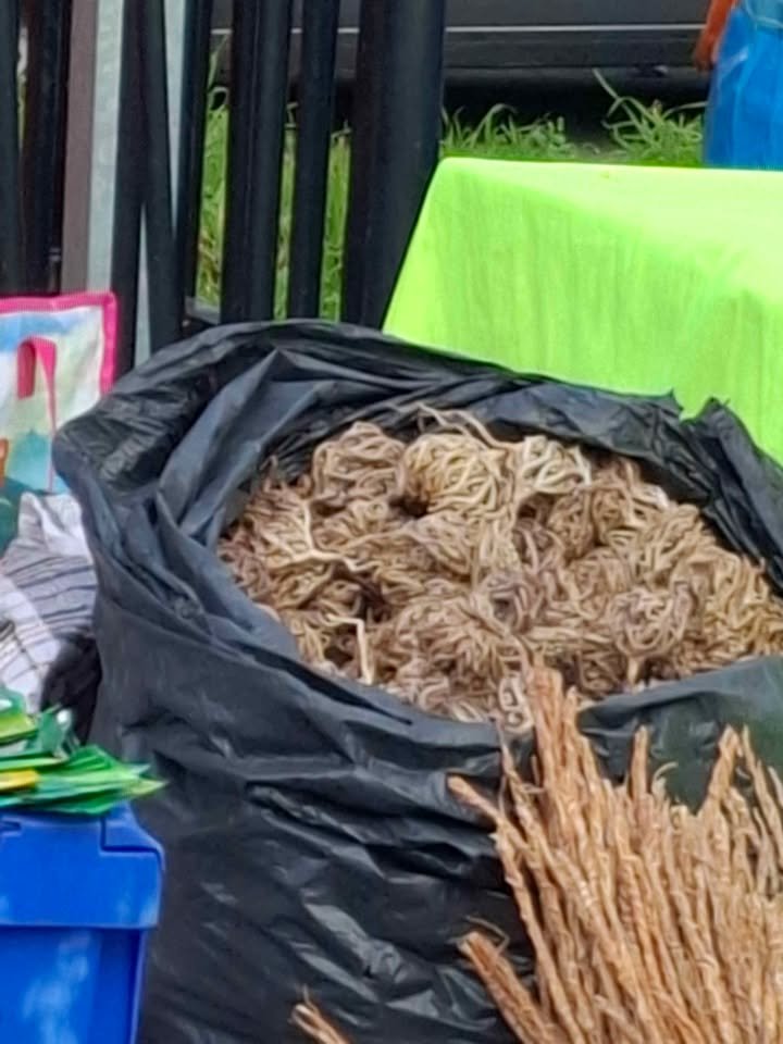 592569087_816444041382412_8835839599041690172_n